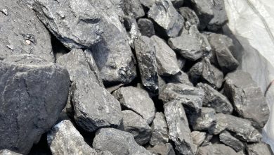 Photo of Интересные факты об угле