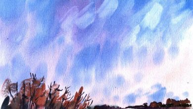 Photo of Техника мокрой акварели: советы и трюки