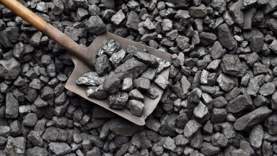 Photo of Полноценное изображение углем