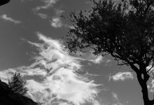 Photo of Пейзажи в черно-белых тонах