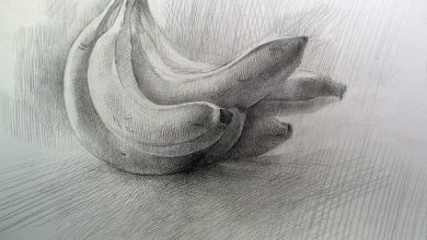 Photo of Мастерство рисования карандашом